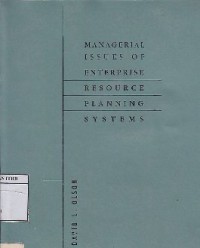 Managerial Issues Of Enterprise Resource Planning Systems