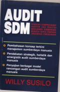 Audit SDM