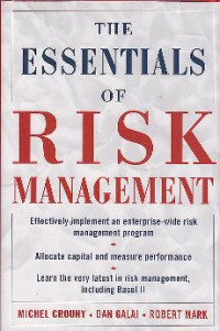 The essentials of risk management